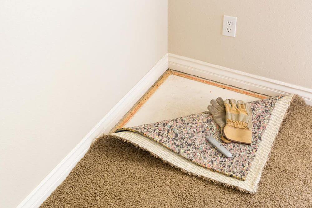 How to Effectively Put Your Carpet Back on Grippers (in 6 Steps) blog cover